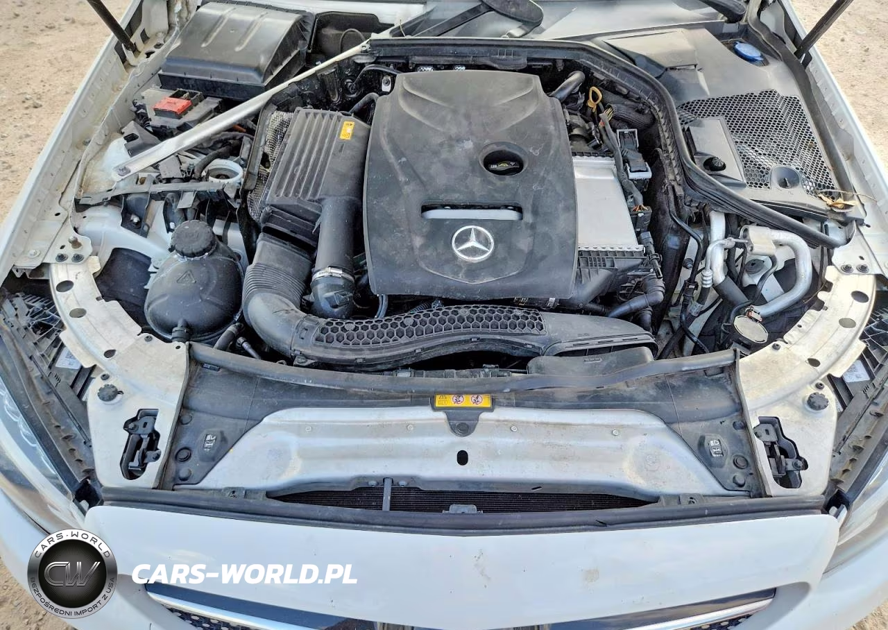 2018 Mercedes-Benz C 300 VIN:WDDWJ4JB9JF637312 - 11