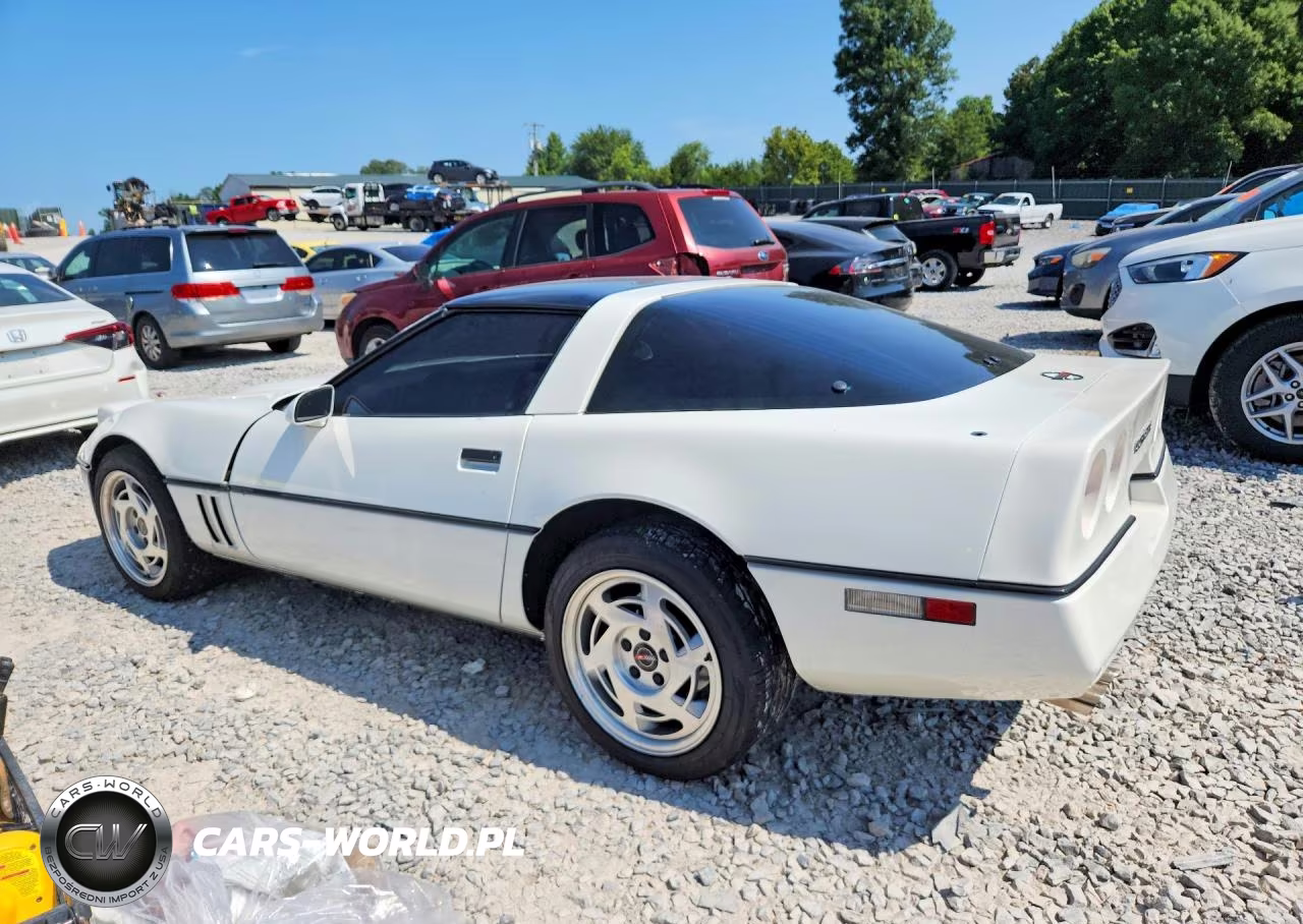 1984 Chevrolet Corvette VIN:1G1AY0786E5142395 - 2