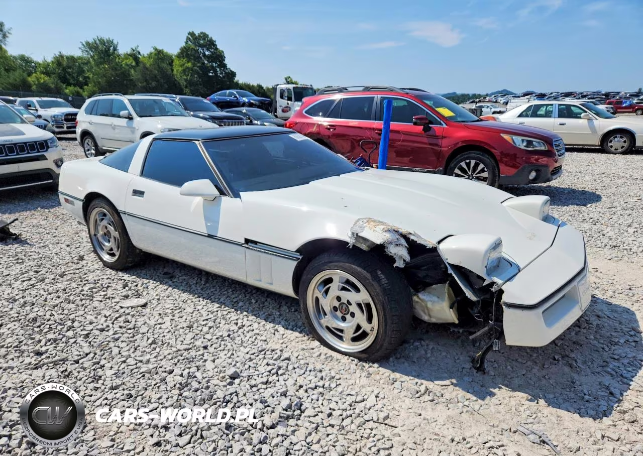 1984 Chevrolet Corvette VIN:1G1AY0786E5142395 - 4