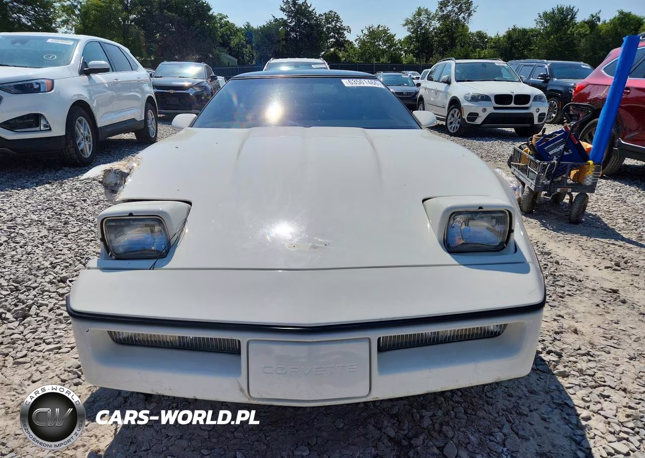 1984 Chevrolet Corvette VIN:1G1AY0786E5142395 - 5
