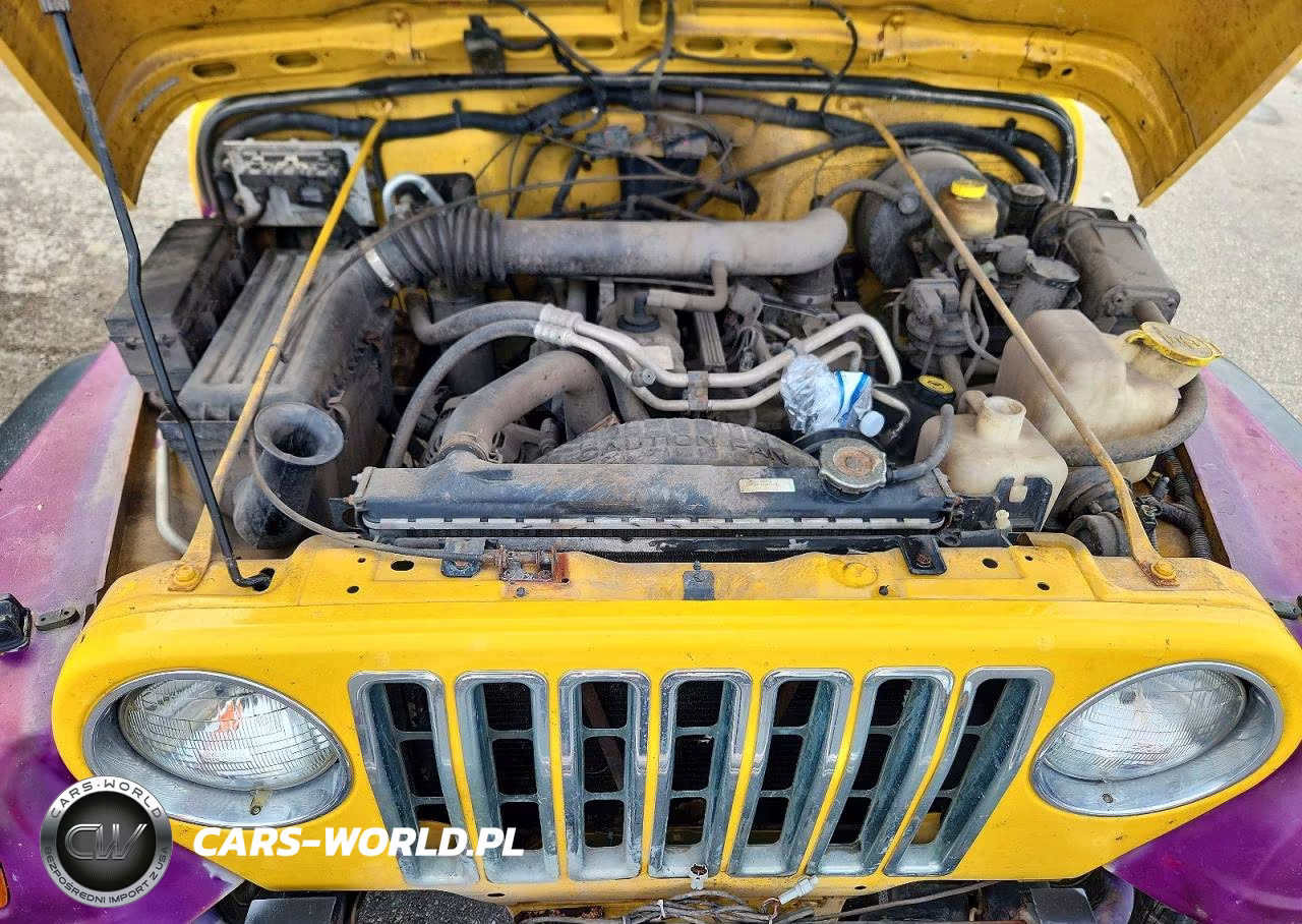 2001 Jeep Wrangler - Tj Sport VIN:1J4FA49S51P361665 - 11