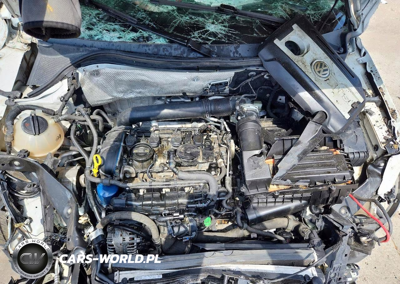 2015 Volkswagen Tiguan S VIN:WVGBV7AX2FW507773 - 12
