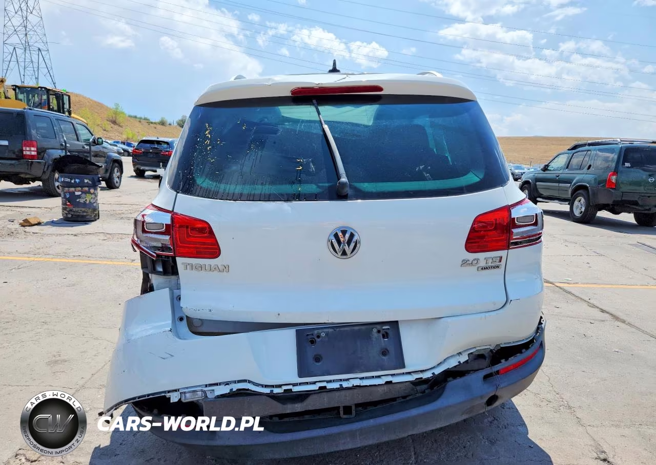 2015 Volkswagen Tiguan S VIN:WVGBV7AX2FW507773 - 6