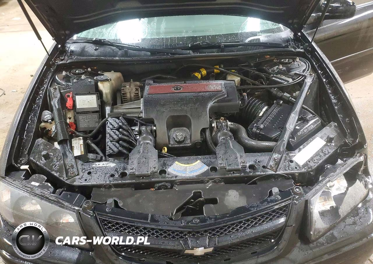 2004 Chevrolet Impala Ss VIN:2G1WP521X49281592 - 11