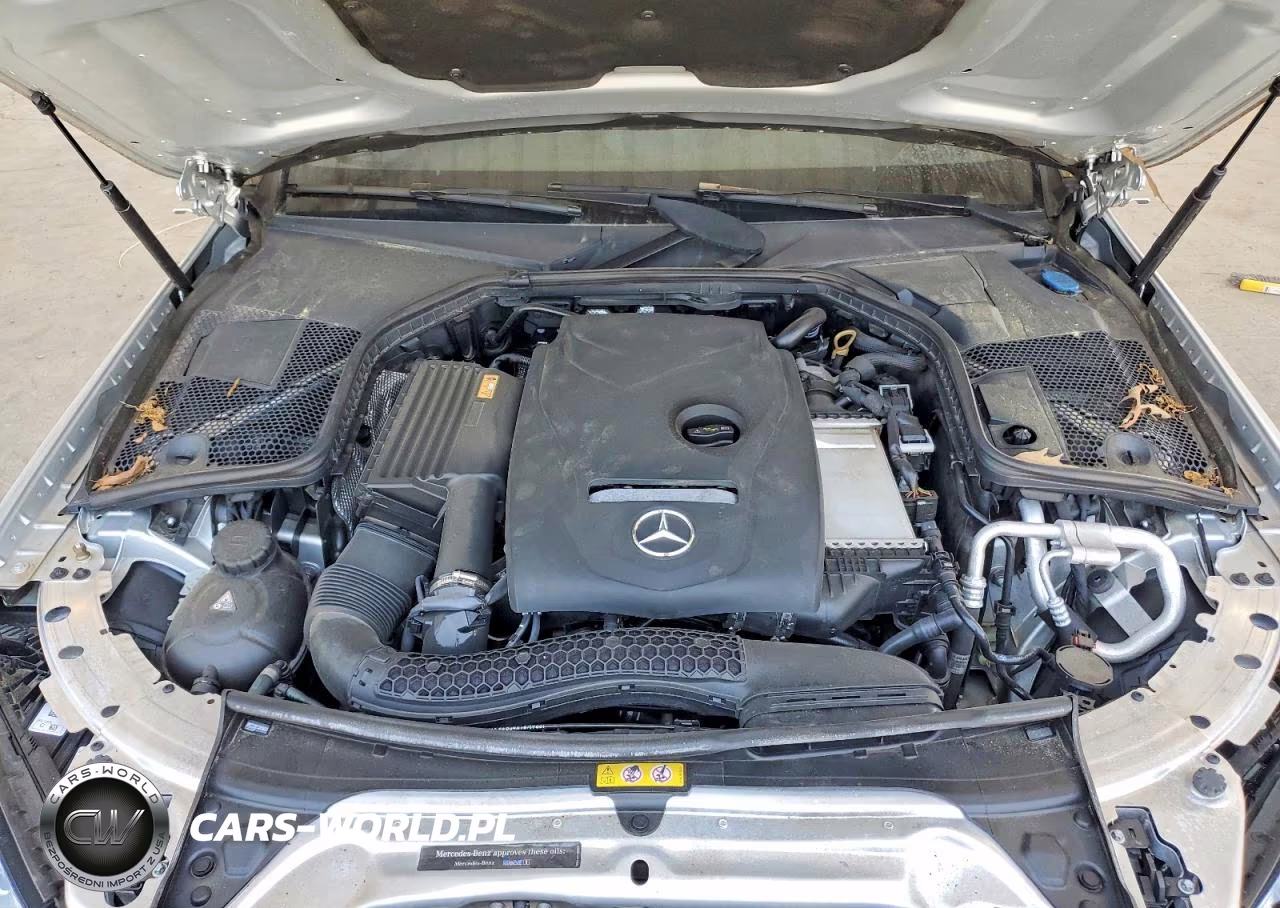 2018 Mercedes-Benz C 300 VIN:WDDWJ4JBXJF596107 - 11