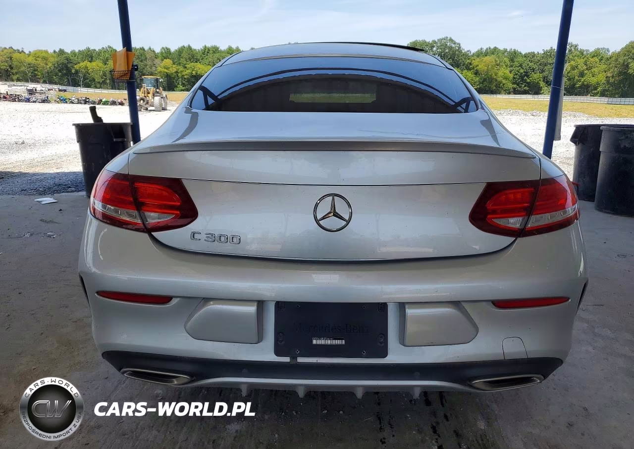 2018 Mercedes-Benz C 300 VIN:WDDWJ4JBXJF596107 - 6