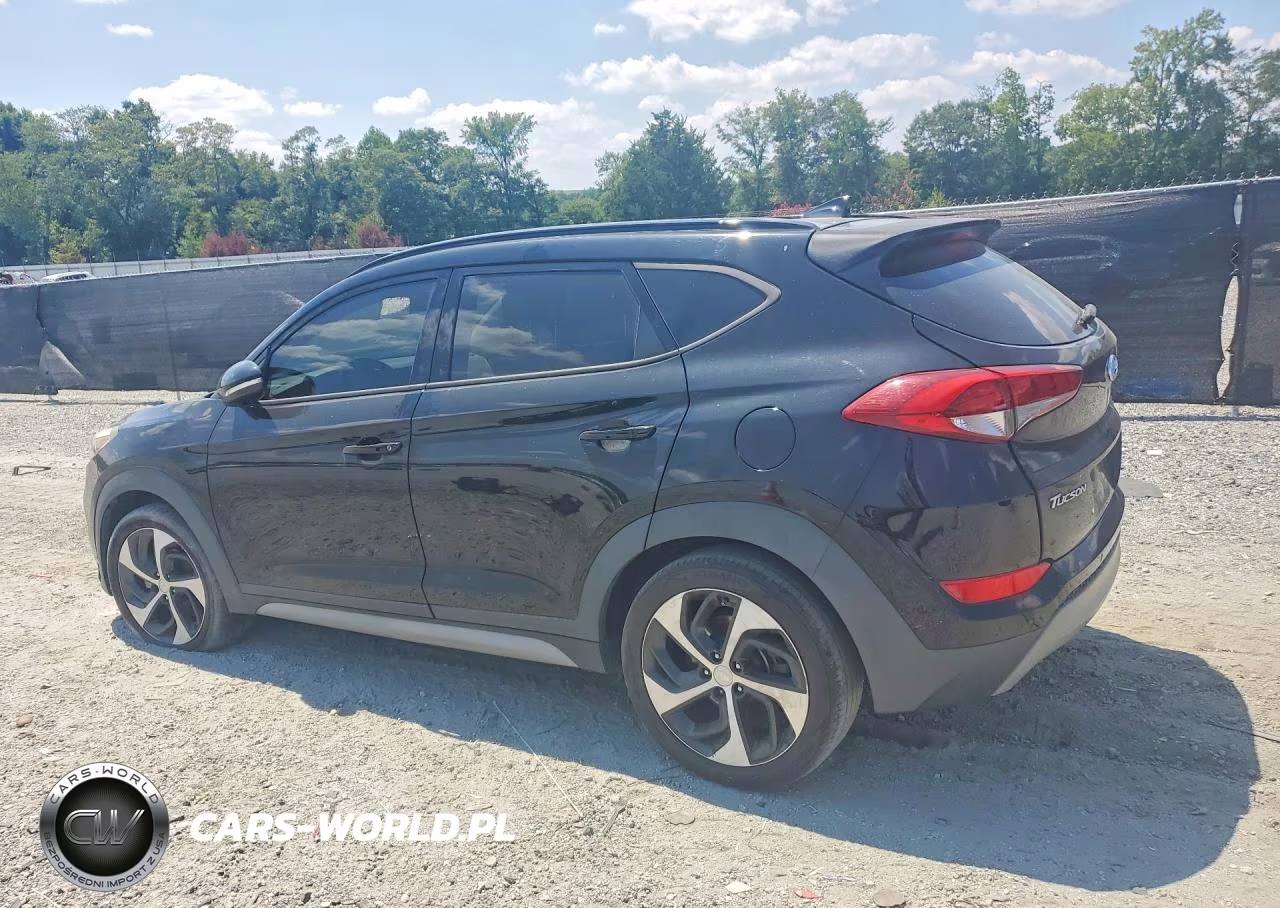 2018 Hyundai Tucson Value VIN:KM8J33A21JU809400 - 2