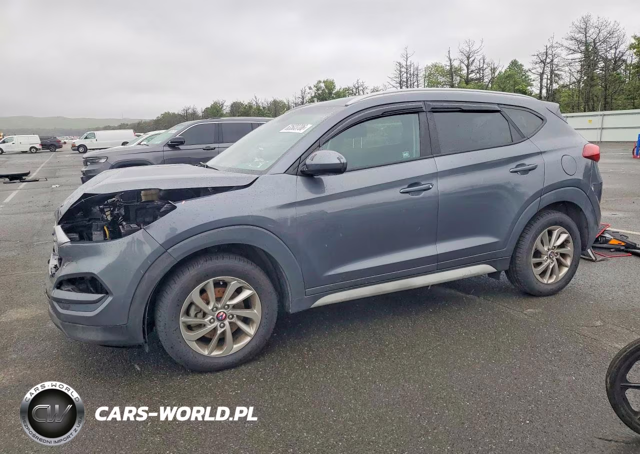 2017 Hyundai Tucson Se VIN:KM8J3CA46HU428735 - 1