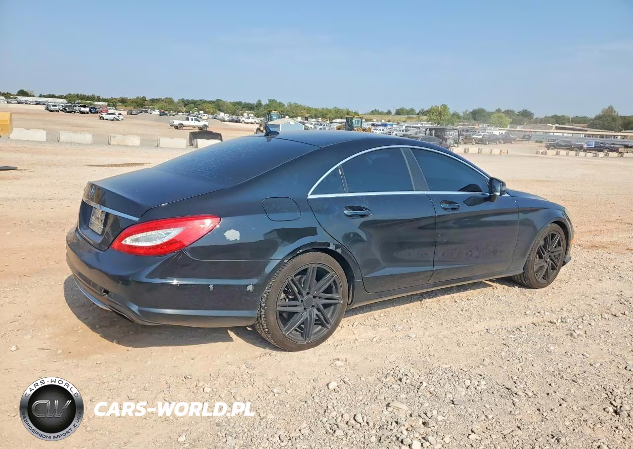 2013 Mercedes-Benz Cls 550 VIN:WDDLJ7DB1DA060597 - 3