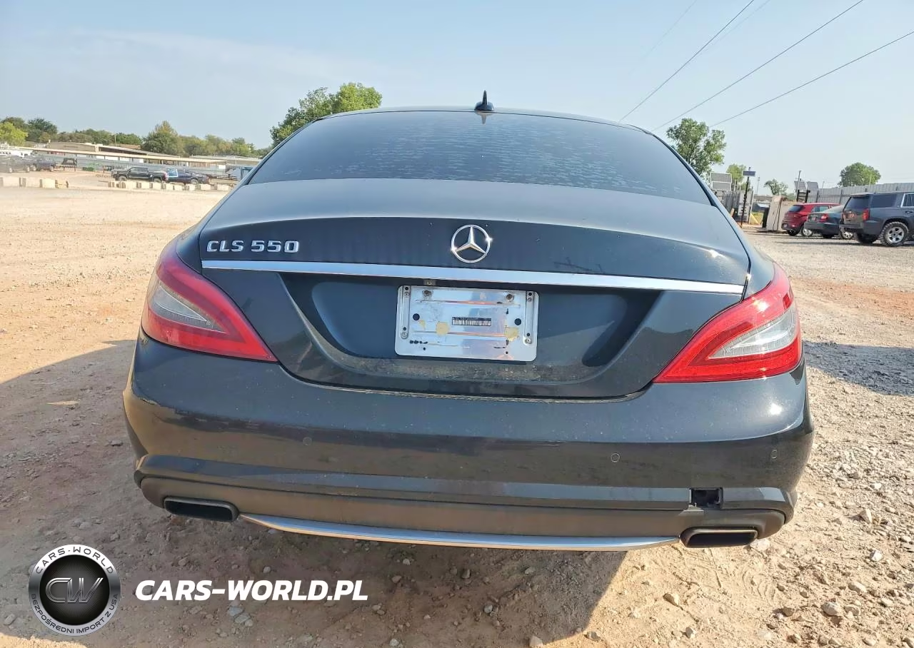 2013 Mercedes-Benz Cls 550 VIN:WDDLJ7DB1DA060597 - 6