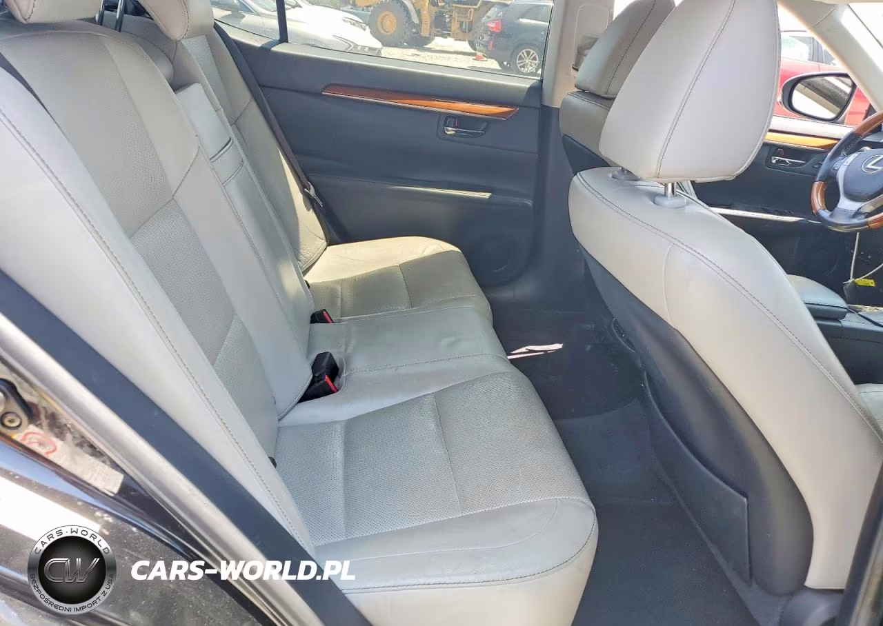 2013 Lexus Es 300H VIN:JTHBW1GG0D2015316 - 10