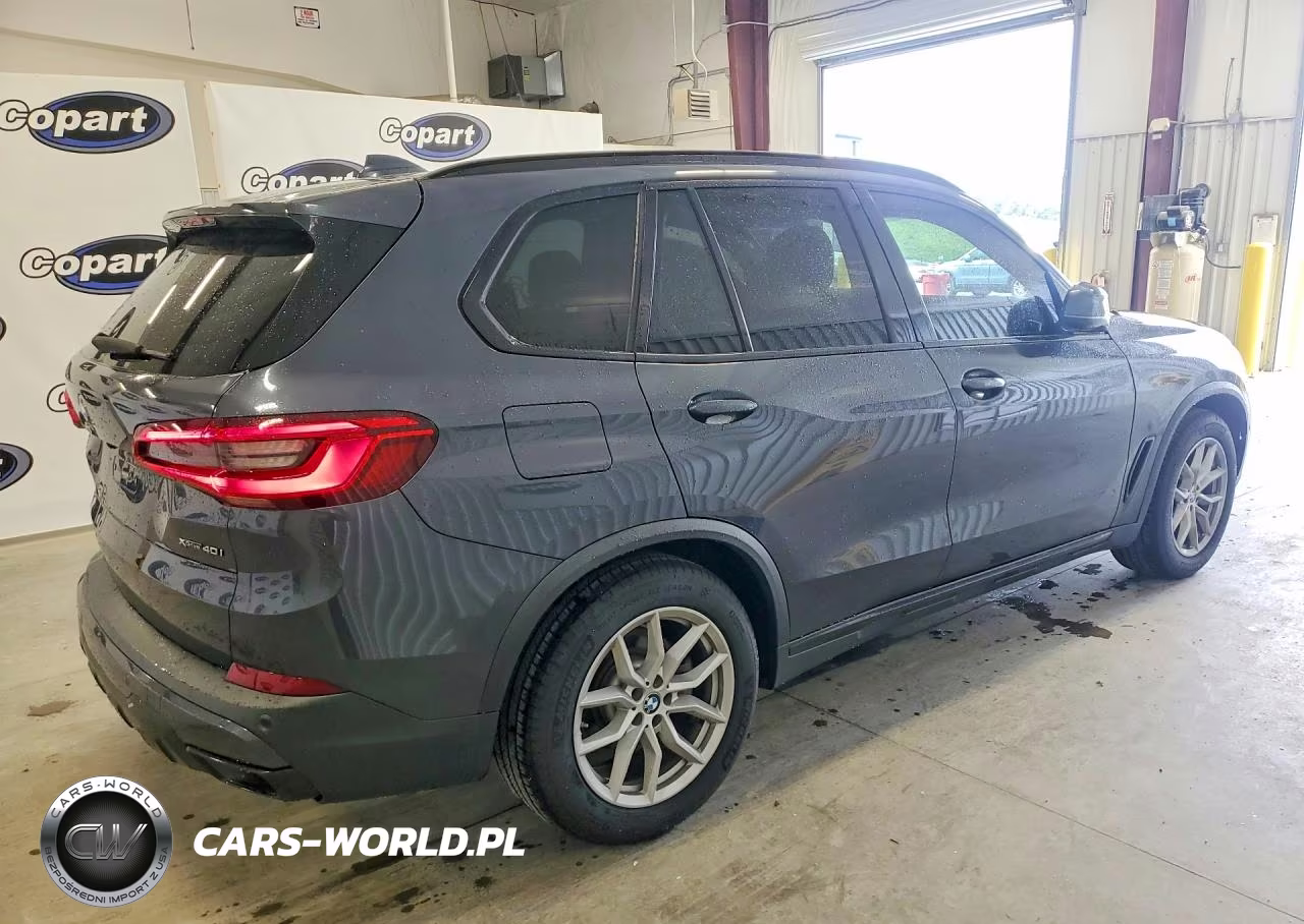 2019 BMW X5 xDrive40I VIN:5UXCR6C58KLL10894 - 3