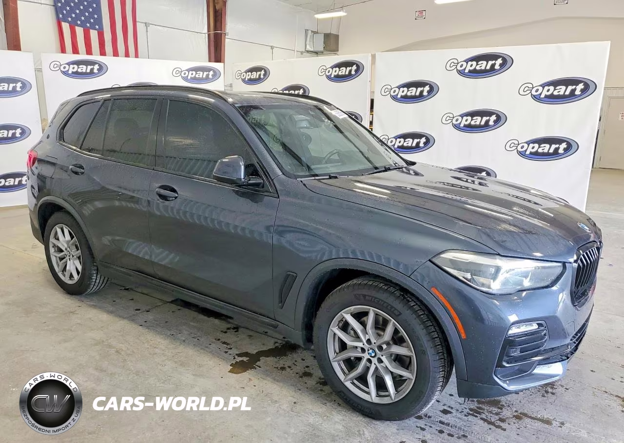 2019 BMW X5 xDrive40I VIN:5UXCR6C58KLL10894 - 4