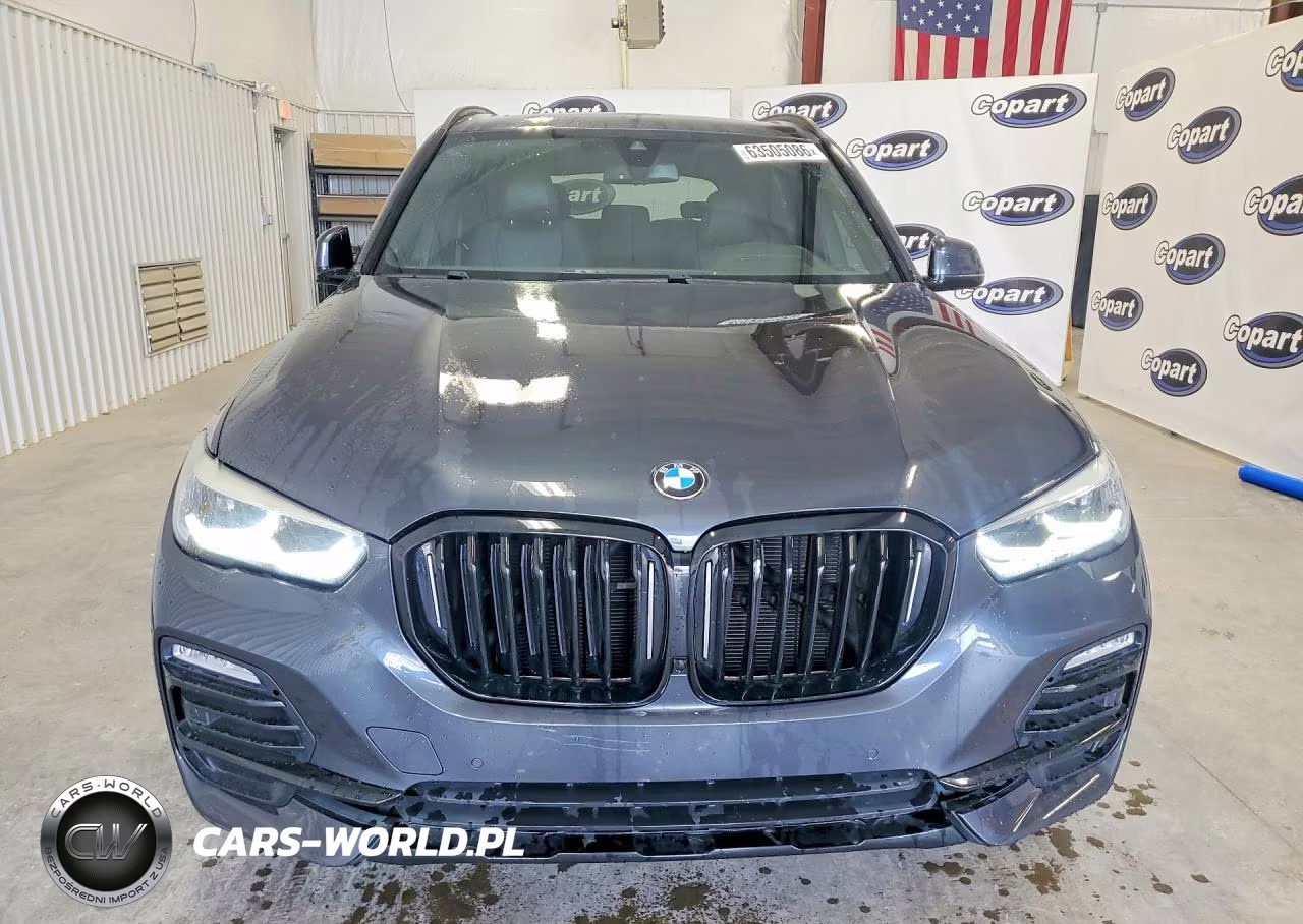 2019 BMW X5 xDrive40I VIN:5UXCR6C58KLL10894 - 5