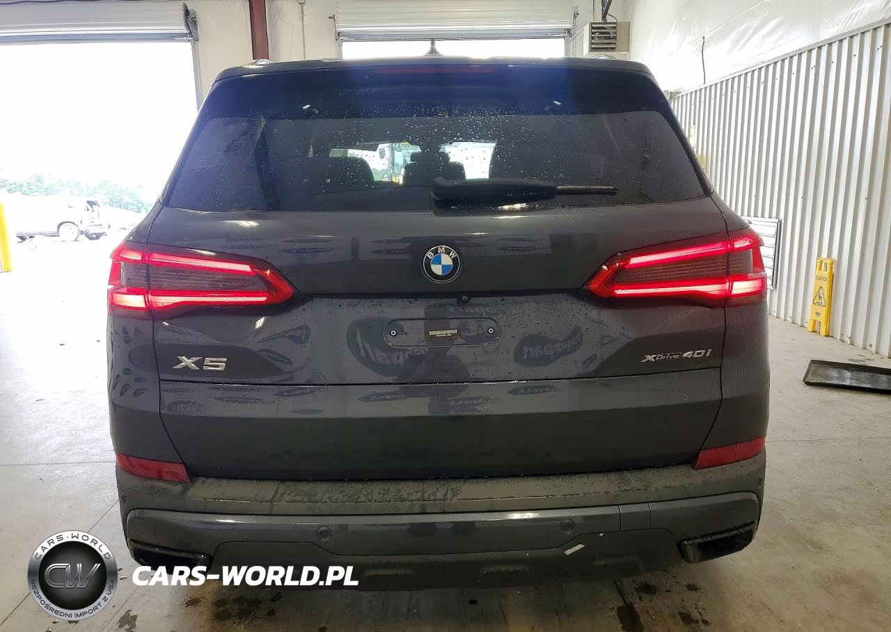 2019 BMW X5 xDrive40I VIN:5UXCR6C58KLL10894 - 6