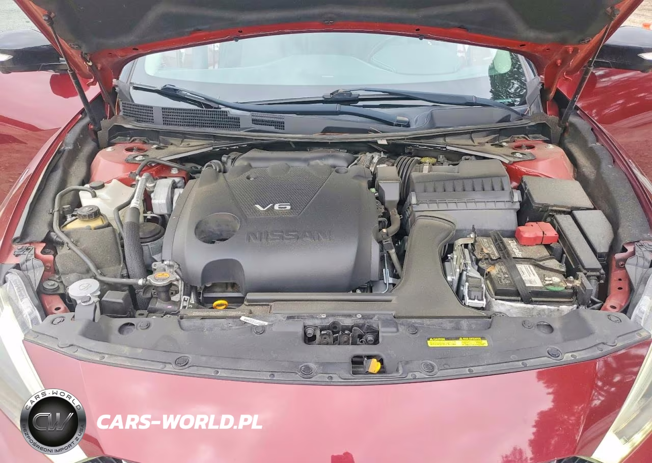 2017 Nissan Maxima Platinum VIN:1N4AA6AP4HC413894 - 11