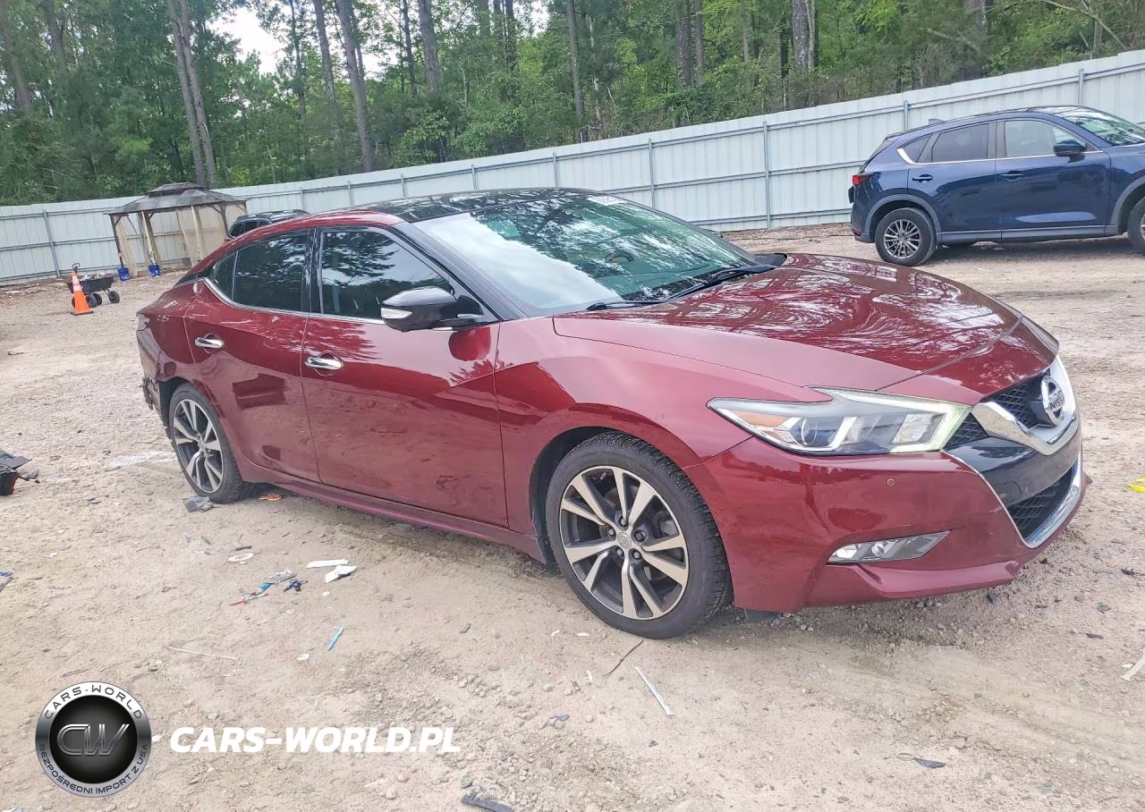 2017 Nissan Maxima Platinum VIN:1N4AA6AP4HC413894 - 4