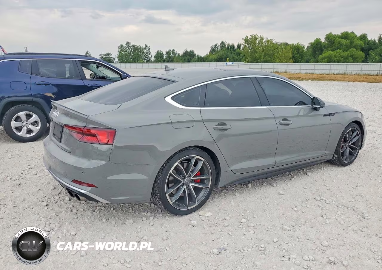 2019 Audi S5 Premium Plus VIN:WAUB4CF54KA079734 - 3
