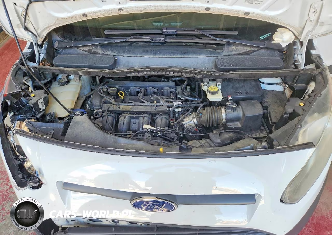 2016 Ford Transit Connect Xl VIN:NM0LS6E70G1236102 - 12