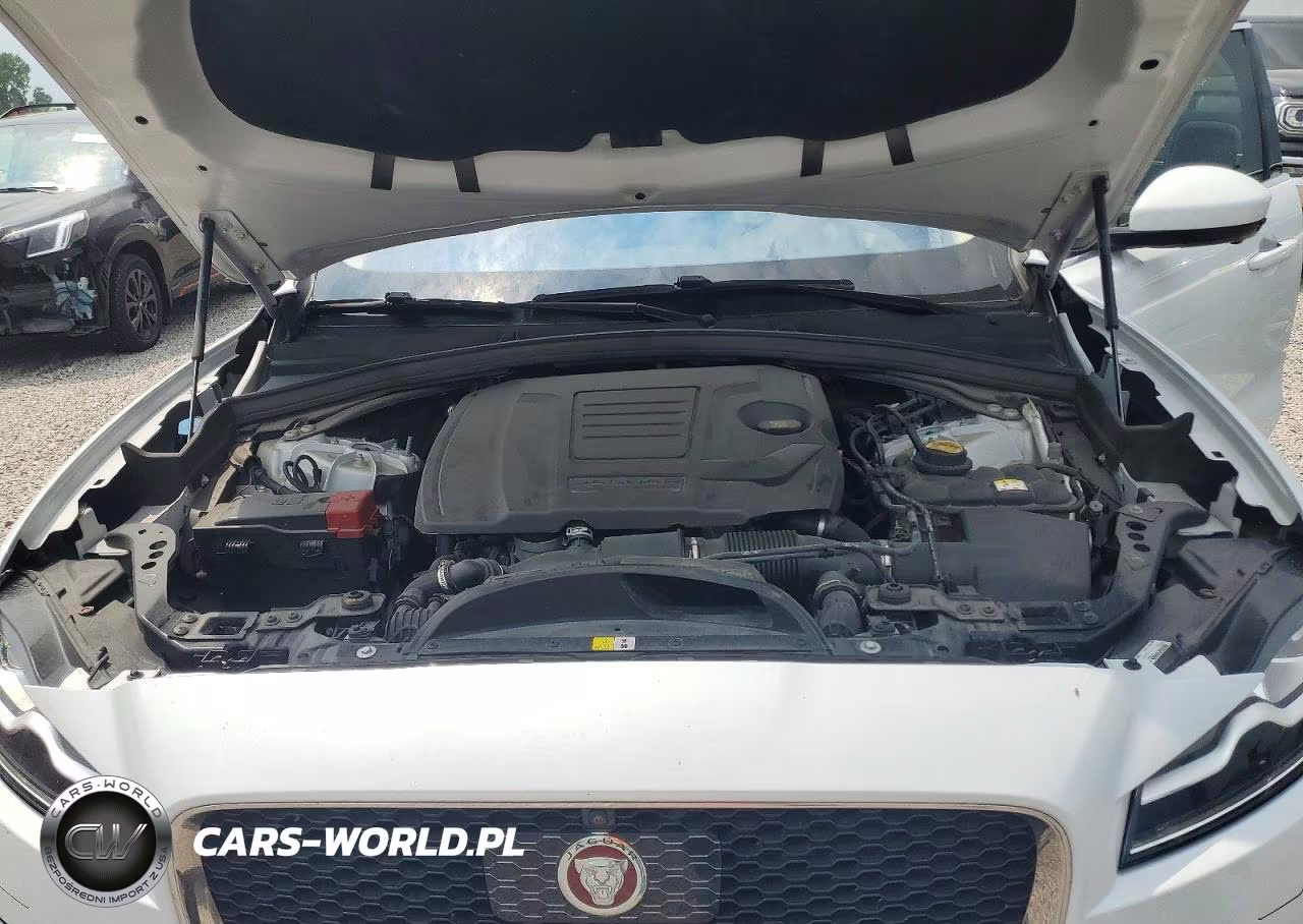 2020 Jaguar F-Pace Portfolio VIN:SADCN2GX1LA643909 - 12
