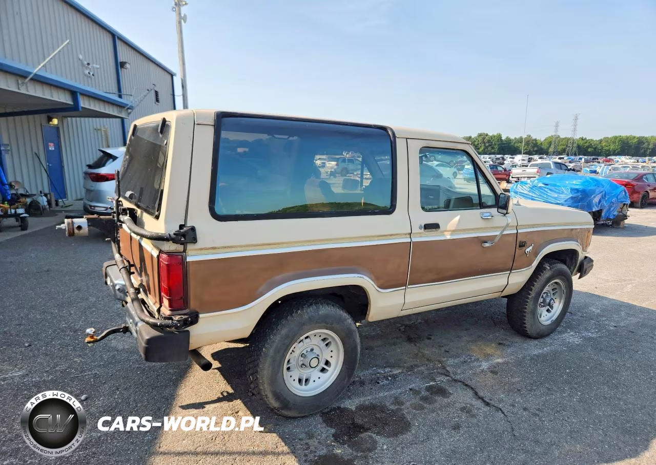 1985 Ford Bronco Ii VIN:1FMCU14S3FUA49774 - 3