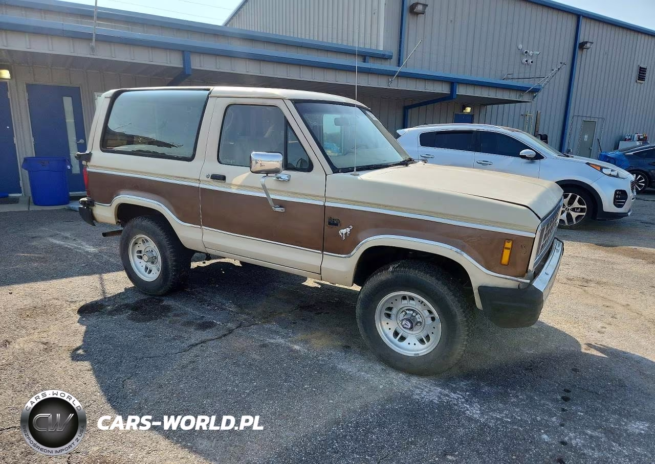 1985 Ford Bronco Ii VIN:1FMCU14S3FUA49774 - 4