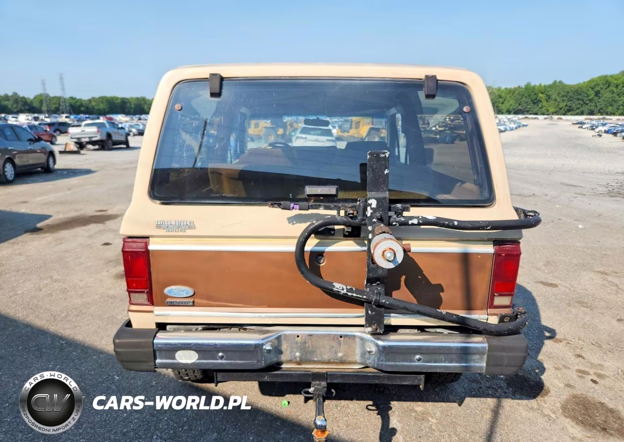 1985 Ford Bronco Ii VIN:1FMCU14S3FUA49774 - 6