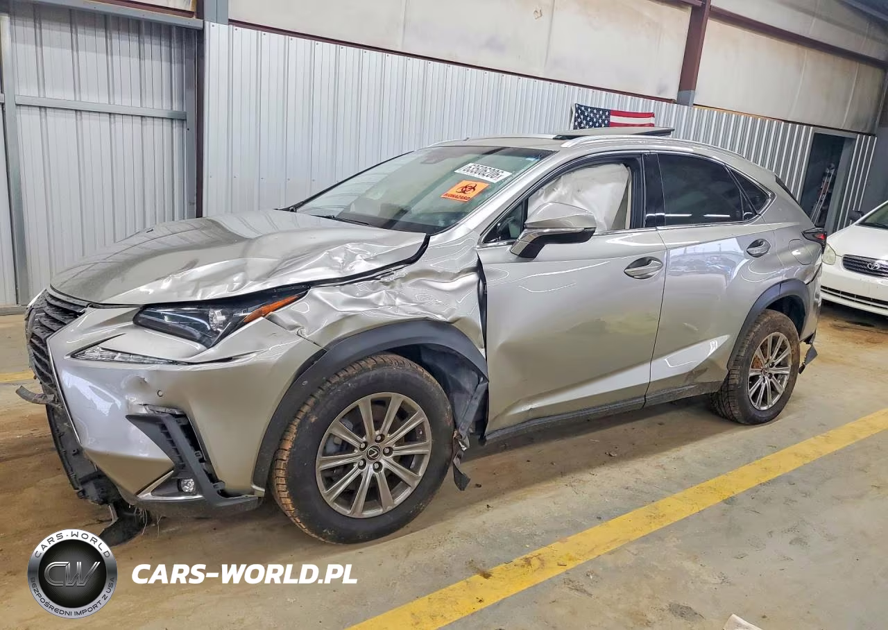 2019 Lexus Nx 300 Base VIN:JTJYARBZ2K2140667 - 1