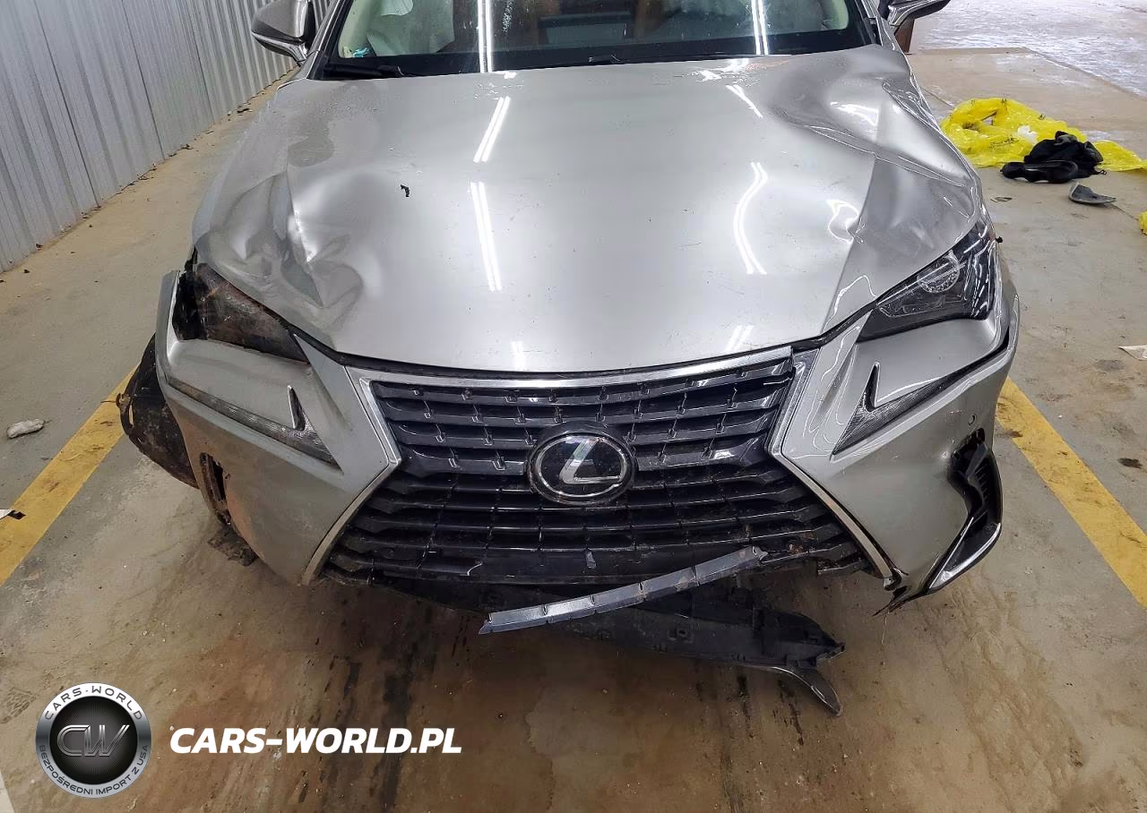 2019 Lexus Nx 300 Base VIN:JTJYARBZ2K2140667 - 11
