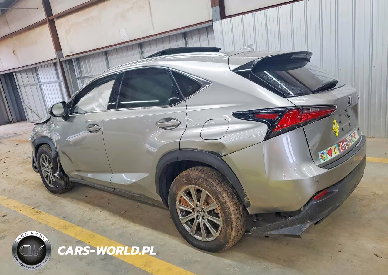 2019 Lexus Nx 300 Base VIN:JTJYARBZ2K2140667 - 2
