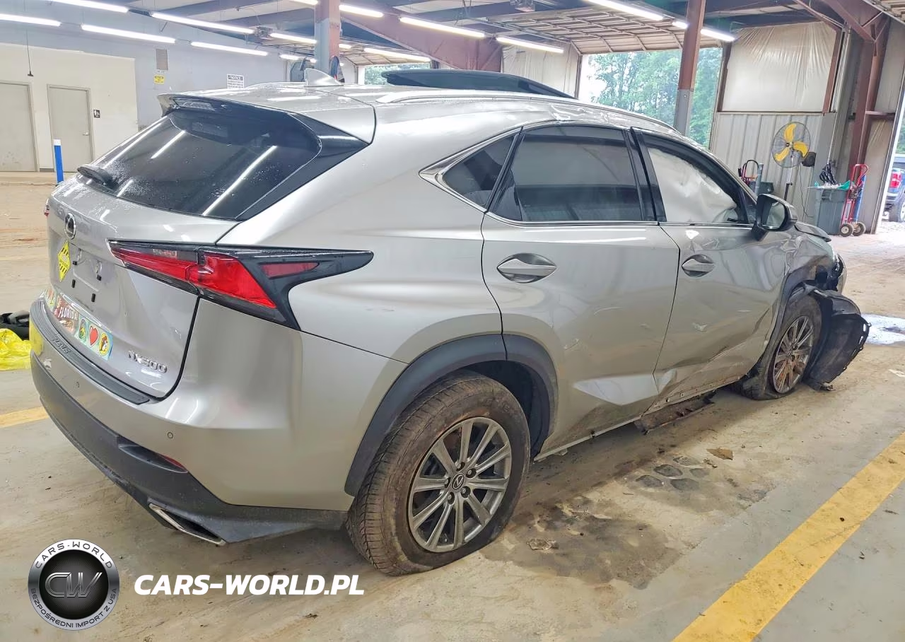 2019 Lexus Nx 300 Base VIN:JTJYARBZ2K2140667 - 3