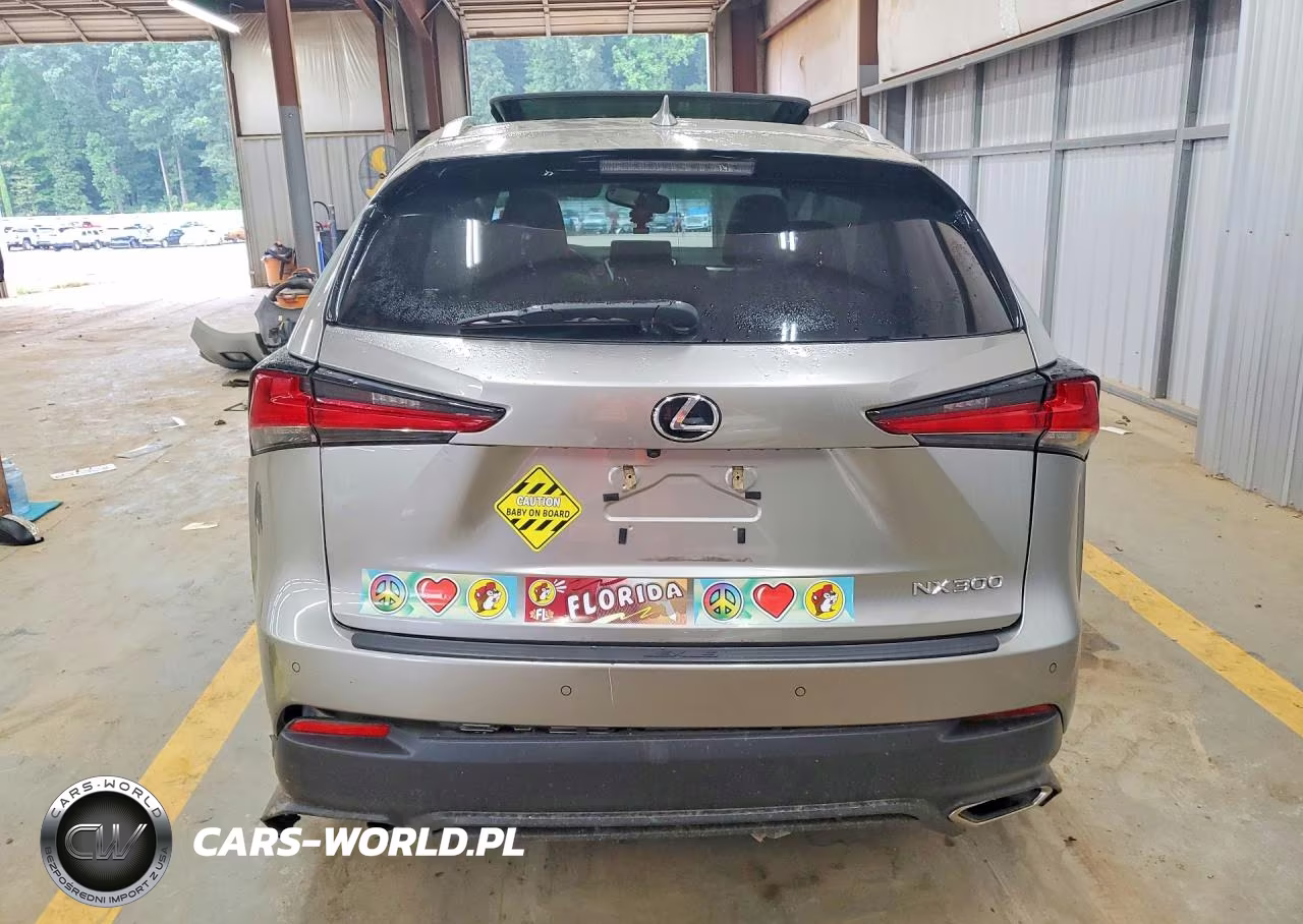 2019 Lexus Nx 300 Base VIN:JTJYARBZ2K2140667 - 6