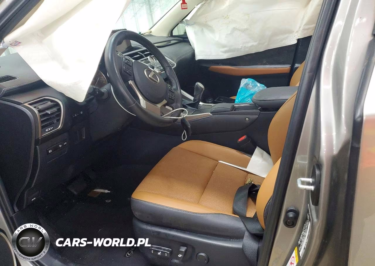 2019 Lexus Nx 300 Base VIN:JTJYARBZ2K2140667 - 7