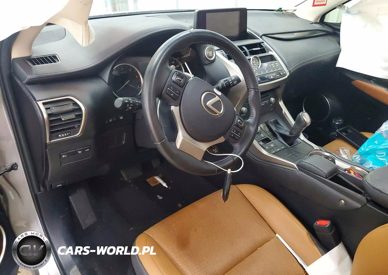 2019 Lexus Nx 300 Base VIN:JTJYARBZ2K2140667 - 8