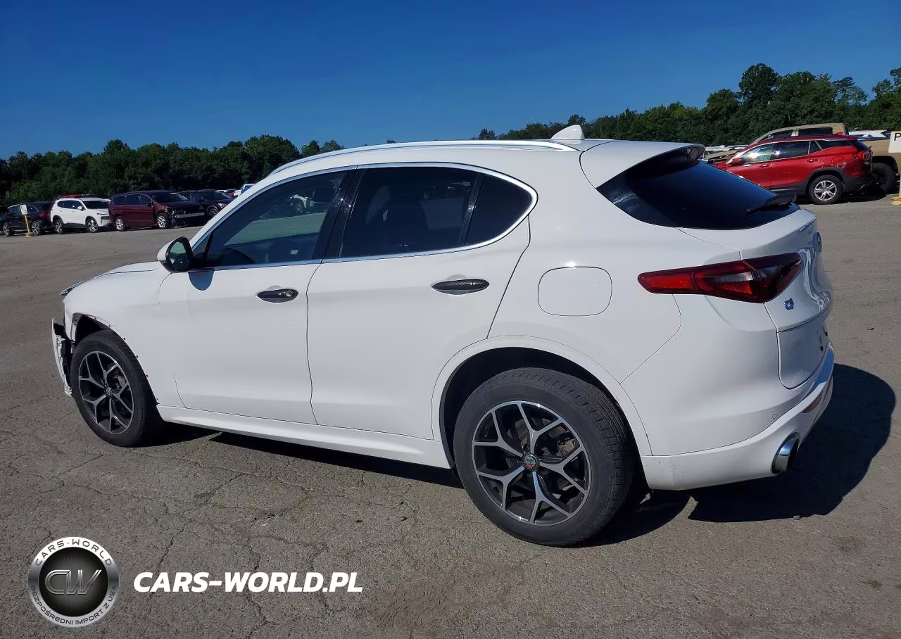 2020 Alfa Romeo Stelvio Ti VIN:ZASPAKBN3L7C88079 - 2
