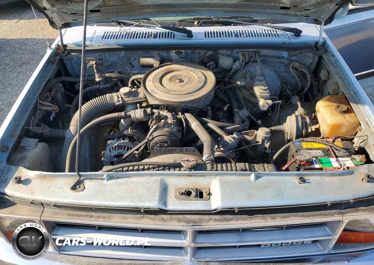 1987 Dodge Dakota VIN:1B7GR14M6HS473750 - 11