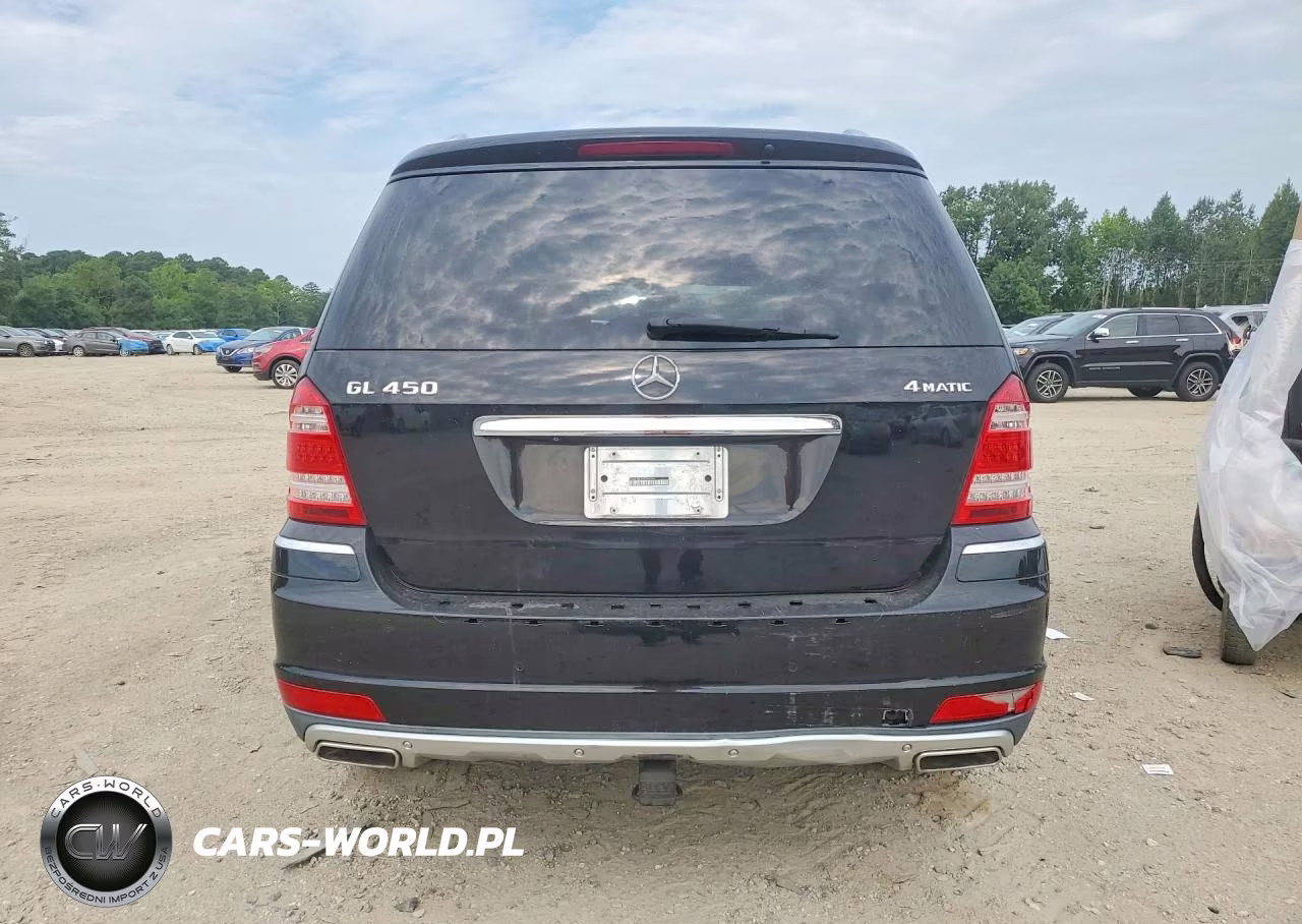 2010 Mercedes-Benz Gl 450 4Matic VIN:4JGBF7BEXAA596086 - 6