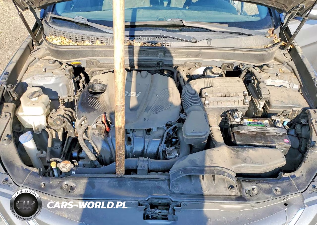2014 Hyundai Sonata Gls VIN:5NPEB4AC2EH882038 - 11