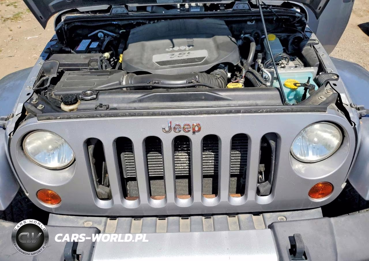 2013 Jeep Wrangler Unlimited Sahara VIN:1C4BJWEGXDL548221 - 12