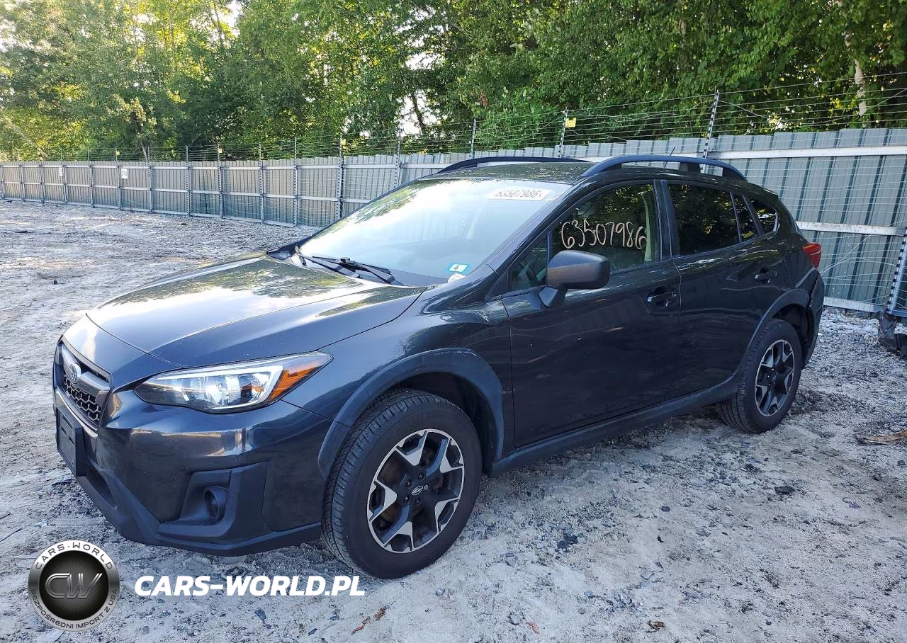 2019 Subaru Crosstrek VIN:JF2GTAAC7K8299450 - 1