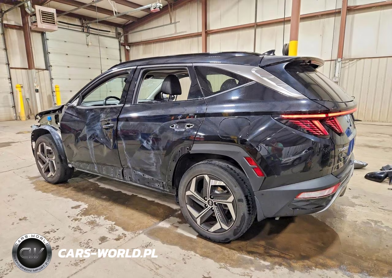 2022 Hyundai Tucson Limited VIN:5NMJECAE2NH050262 - 2