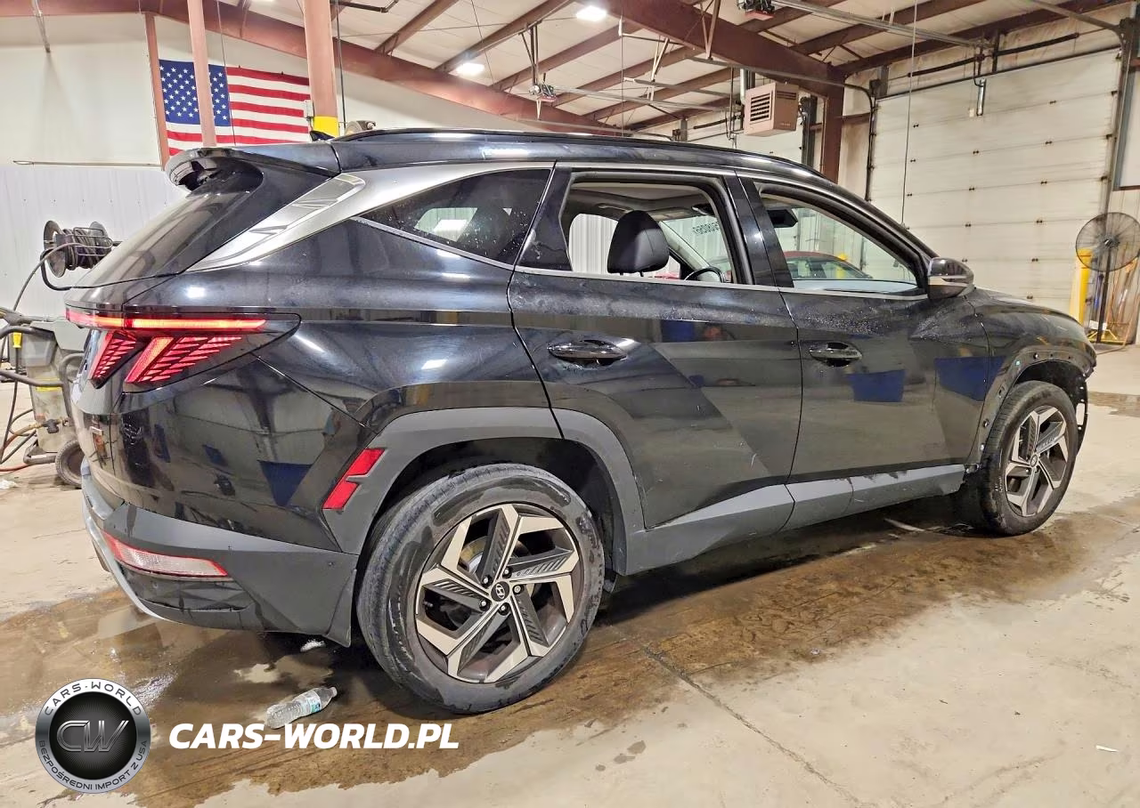 2022 Hyundai Tucson Limited VIN:5NMJECAE2NH050262 - 3