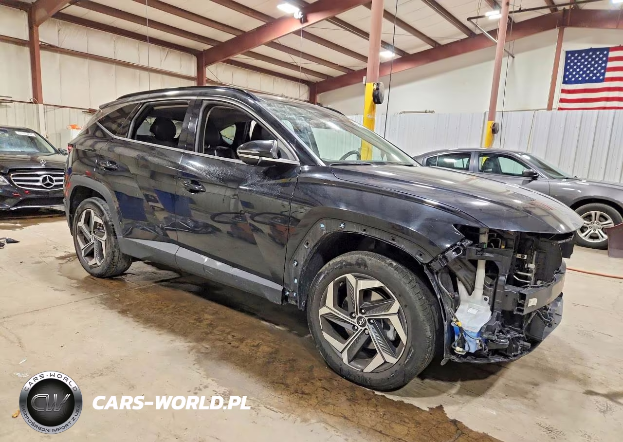 2022 Hyundai Tucson Limited VIN:5NMJECAE2NH050262 - 4