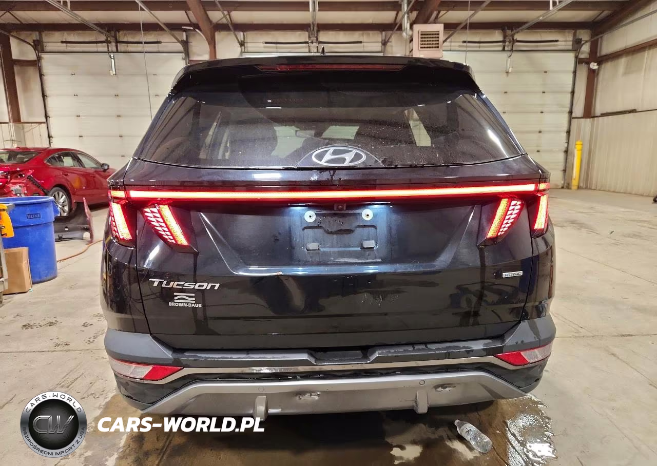2022 Hyundai Tucson Limited VIN:5NMJECAE2NH050262 - 6