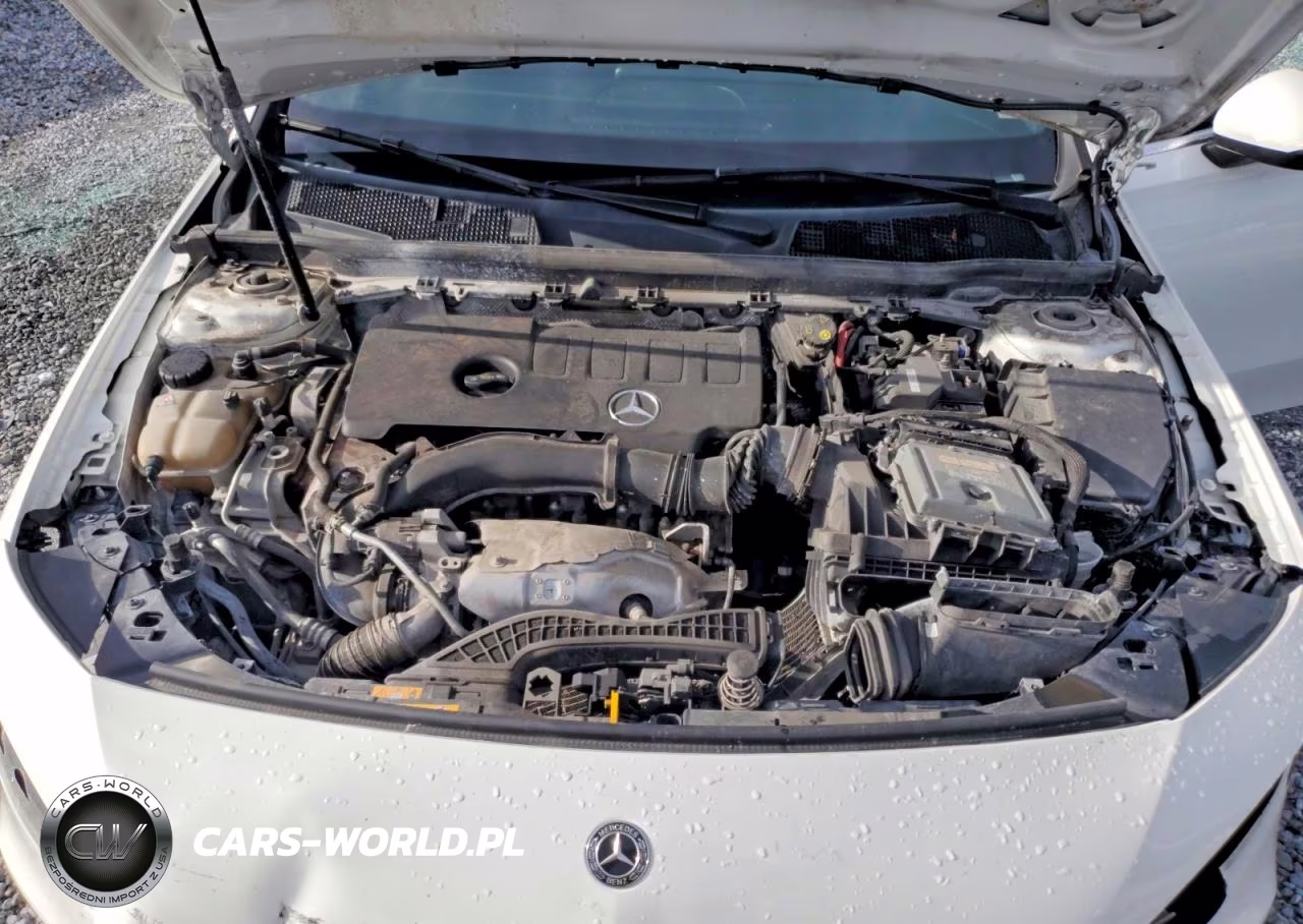 2019 Mercedes-Benz A 220 VIN:WDD3G4EB4KW001345 - 11