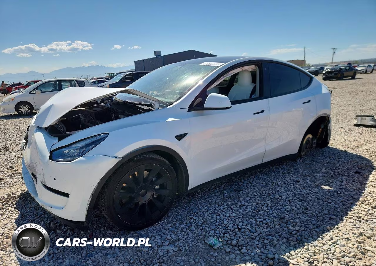2021 Tesla Model Y – zdjęcie 1 z 14