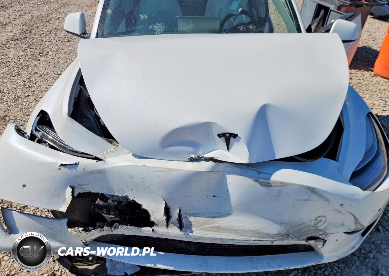 2021 Tesla Model Y VIN:5YJYGDEE7MF074176 - 12