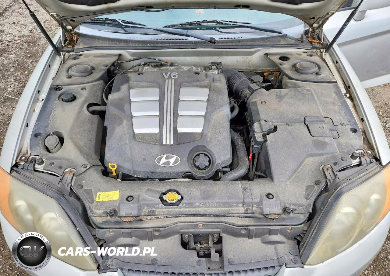 2004 Hyundai Tiburon Gt VIN:KMHHN65F94U133094 - 11