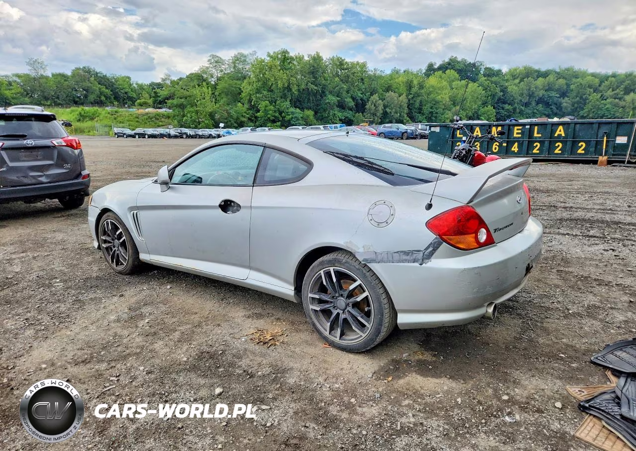 2004 Hyundai Tiburon Gt VIN:KMHHN65F94U133094 - 2