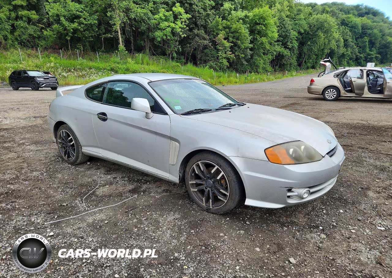 2004 Hyundai Tiburon Gt VIN:KMHHN65F94U133094 - 4